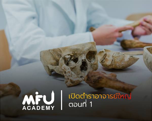 MFU Academy - MFU Academy